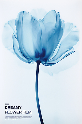 PSD 편집이미지 꽃잎 포스터 타이포그라피 사람없음 파란색 튤립 투명 우아함 필름 아날로그 이미지편집 문자 꽃 컬러 컨셉 파일형식
