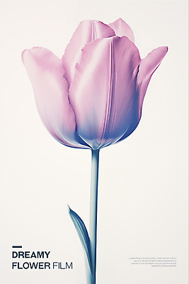 PSD 편집이미지 꽃잎 포스터 분홍색 타이포그라피 사람없음 튤립 투명 우아함 필름 아날로그 이미지편집 문자 꽃 컬러 컨셉 파일형식
