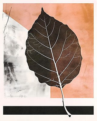 JPG 예술 잎 일러스트 추상 사람없음 그래픽 빈티지 질감 기하학 다홍색 국내일러스트 AI일러스트 AI콘텐츠 식물 컬러 컨셉 무늬 파일형식