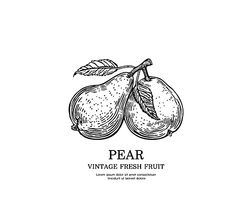 일러스트 사람없음 검은색 빈티지 배 스케치 심볼 판화 국내일러스트 AI파일 컬러 컨셉 과일 미술 파일형식 벡터