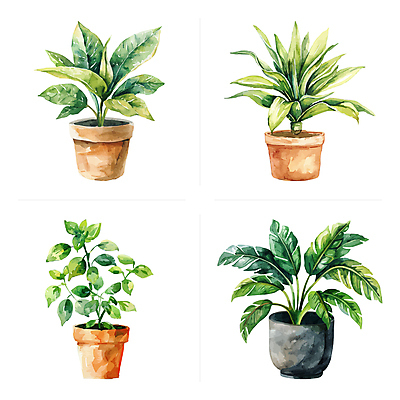 화분 잎 일러스트 수채화 사람없음 초록색 세트 다양 반려식물 국내일러스트 AI파일 식물 컬러 다수 파일형식 벡터