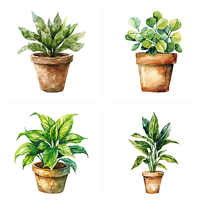 화분 잎 일러스트 수채화 사람없음 초록색 세트 다양 반려식물 국내일러스트 AI파일 식물 컬러 다수 파일형식 벡터
