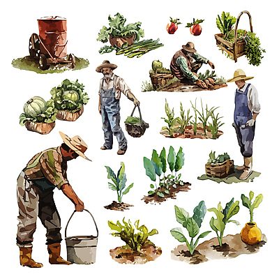 전신 모자 노년 남자 중년 밭 농업 일러스트 수채화 들기 여러명 세트 당근 농촌 양상추 농부 농기구 양동이 남자만 라탄바구니 국내일러스트 AI파일 직업 잡화 산업 다수 채소 모션 뿌리채소 사람 성인 바구니 시골 파일형식 벡터