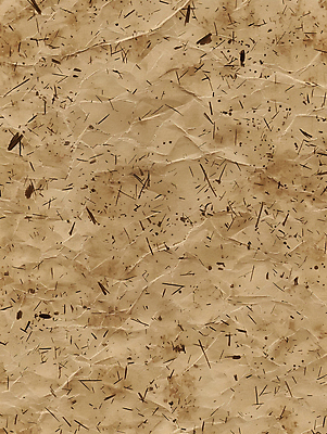 JPG 편집이미지 종이 백그라운드 사람없음 갈색 질감 구김 편집실사 AI포토 AI콘텐츠 컬러 모션 CG 파일형식