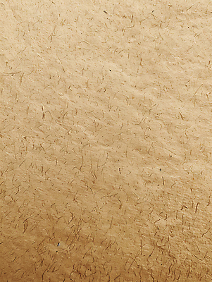 JPG 편집이미지 종이 백그라운드 사람없음 갈색 질감 편집실사 AI포토 AI콘텐츠 컬러 CG 파일형식