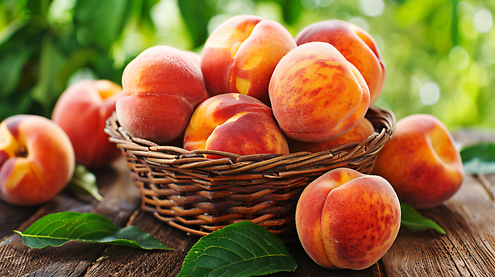 JPG 편집이미지 잎 사람없음 여름 농장 바구니 수확 신선 과수원 디지털합성 복숭아 나무탁자 편집실사 AI포토 AI콘텐츠 식물 계절 농업 과일 탁자 CG 파일형식