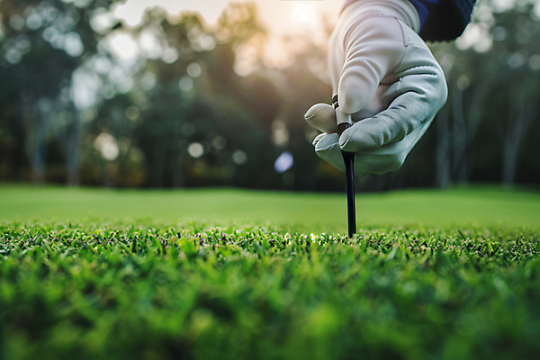 JPG 편집이미지 손 골프 필드 잔디 취미 신체부위 여름 디지털합성 골프티 레슨 놓기 편집실사 AI인물포토 AI콘텐츠 식물 계절 모션 수업 골프용품 사람 구기 CG 파일형식 AI포토