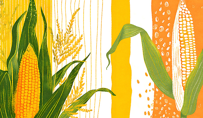 JPG 일러스트 곡류 옥수수 사람없음 노란색 분위기 국내일러스트 AI일러스트 AI콘텐츠 컬러 컨셉 파일형식
