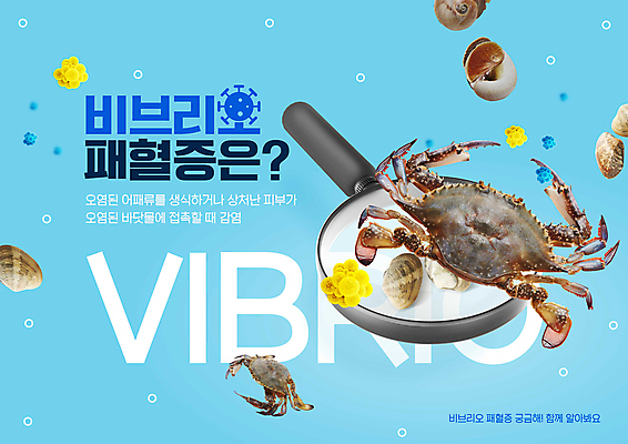 PSD 편집이미지 돋보기 조개 경고 사람없음 파란색 꽃게 바이러스 이미지편집 패혈증 컬러 어패류 게 질병 파일형식
