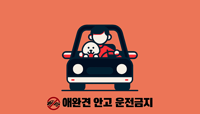 남자 반려견 도로 일러스트 안기 자동차 경고 한명 성인 주황색 운전 금지 강아지 안전수칙 안전운전 법규 성인남자한명만 국내일러스트 AI파일 1 길 육상교통 컬러 교통시설 모션 안전 사람 반려동물 개 교통안전 남자한명만 성인남자만 파일형식 벡터