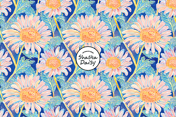 PSD 편집이미지 꽃 잎 패턴 사람없음 파란색 화려 데이지 샤스타데이지 이미지편집 식물 컬러 컨셉 무늬 파일형식