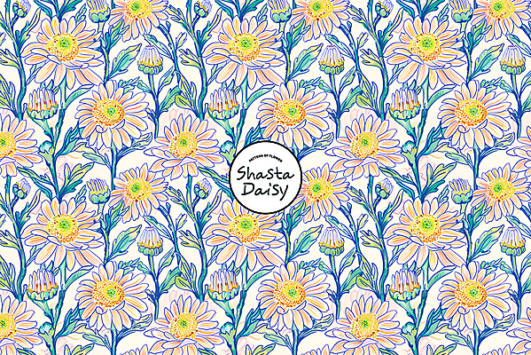 PSD 편집이미지 꽃 잎 패턴 사람없음 파란색 화려 데이지 샤스타데이지 이미지편집 식물 컬러 컨셉 무늬 파일형식