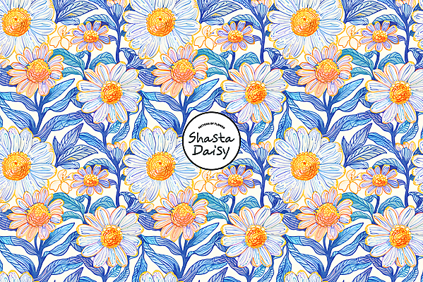 PSD 편집이미지 꽃 잎 패턴 사람없음 파란색 화려 데이지 샤스타데이지 이미지편집 식물 컬러 컨셉 무늬 파일형식