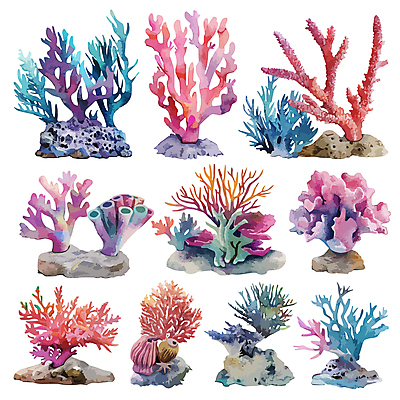 일러스트 수채화 사람없음 세트 컬러풀 바위 산호 국내일러스트 AI파일 컬러 돌_바위 자포동물 파일형식 벡터