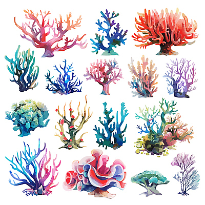 일러스트 수채화 사람없음 세트 컬러풀 산호 국내일러스트 AI파일 컬러 자포동물 파일형식 벡터
