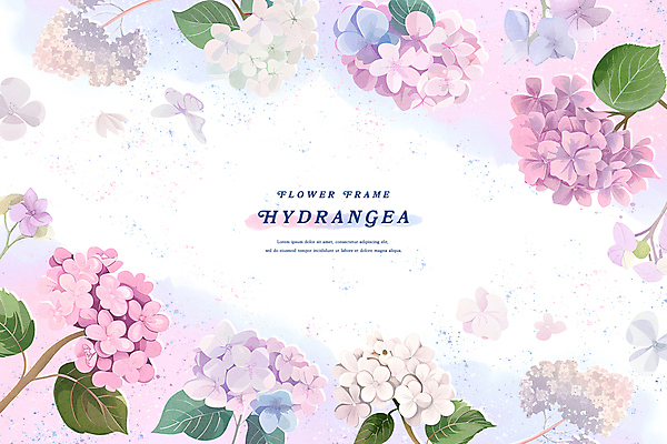 PSD 꽃잎 분홍색 잎 일러스트 여름꽃 수채화 프레임 사람없음 여름 수국 꽃프레임 국내일러스트 식물 계절 꽃 컬러 파일형식 여름_계절