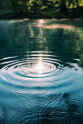 JPG 나무 편집이미지 호수 물결 자연 아침 사람없음 여름 햇빛 환경 숲 디지털합성 물결파장 편집실사 AI포토 AI콘텐츠 주간 식물 계절 태양 CG 생태계 파일형식