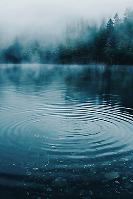 JPG 나무 편집이미지 호수 물결 자연 식탁 아침 사람없음 여름 환경 새벽 숲 디지털합성 시작 물결파장 편집실사 AI포토 AI콘텐츠 주간 자연요소 식물 계절 탁자 CG 생태계 파일형식