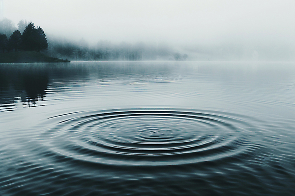 JPG 편집이미지 호수 물결 자연 아침 사람없음 여름 환경 새벽 디지털합성 시작 물결파장 편집실사 AI포토 AI콘텐츠 주간 자연요소 계절 CG 생태계 파일형식