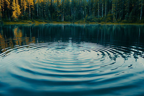 JPG 편집이미지 호수 물결 자연 아침 사람없음 여름 반사 환경 숲 디지털합성 물결파장 편집실사 AI포토 AI콘텐츠 주간 계절 CG 생태계 파일형식