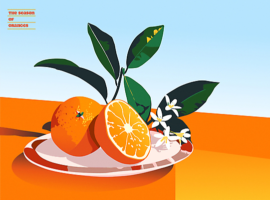 꽃 포스터 하늘색 잎 오렌지 일러스트 단면 사람없음 여름 주황색 감성 유리그릇 오렌지꽃 국내일러스트 AI파일 식물 그릇 계절 컬러 컨셉 과일 유리 파란색 파일형식 벡터