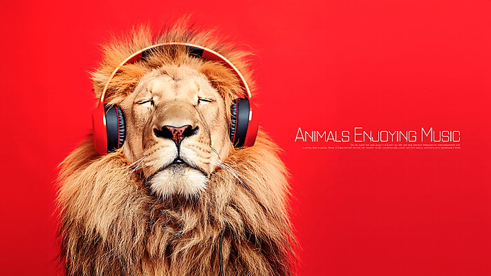 PSD 편집이미지 음악 사람없음 빨간색 헤드폰 음악감상 듣기 사자 즐거움 카피스페이스 이미지편집 감정 컬러 음향기기 포유류 모션 문화예술 공백 감상 파일형식