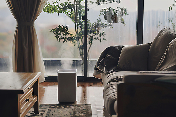 JPG 식물 편집이미지 창문 탁자 실내 사람없음 여름 소파 카펫 공간 커튼 연기 디지털합성 나무바닥 장마 흐림 제습기 편집실사 AI포토 AI콘텐츠 계절 가구 의자 날씨 바닥 내부 가전제품 비_날씨 CG 파일형식