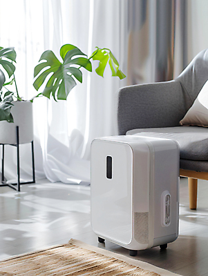 JPG 편집이미지 화분 쿠션 실내 그림자 사람없음 여름 소파 카펫 공간 커튼 디지털합성 장마 몬스테라 제습기 편집실사 AI포토 AI콘텐츠 식물 계절 의자 내부 가전제품 비_날씨 CG 파일형식