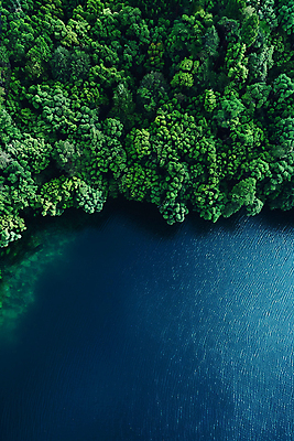 JPG 나무 편집이미지 호수 자연 풍경 사람없음 여름 숲 디지털합성 편집실사 AI포토 AI콘텐츠 식물 계절 CG 생태계 파일형식