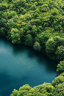 JPG 나무 편집이미지 호수 자연 풍경 사람없음 여름 숲 디지털합성 편집실사 AI포토 AI콘텐츠 식물 계절 CG 생태계 파일형식