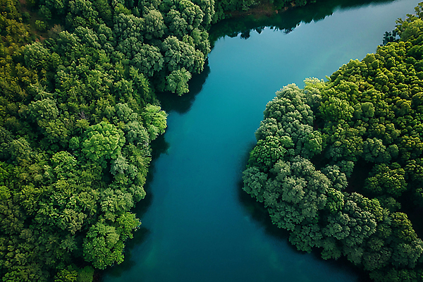JPG 나무 편집이미지 호수 자연 풍경 사람없음 여름 숲 디지털합성 편집실사 AI포토 AI콘텐츠 식물 계절 CG 생태계 파일형식