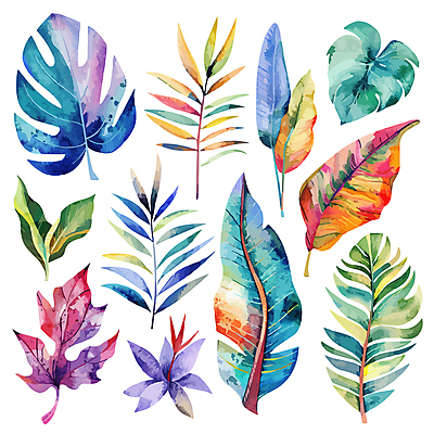 꽃 일러스트 나뭇잎 사람없음 세트 혼합 몬스테라 트로피컬아트 국내일러스트 AI파일 식물 잎 그림 파일형식 벡터