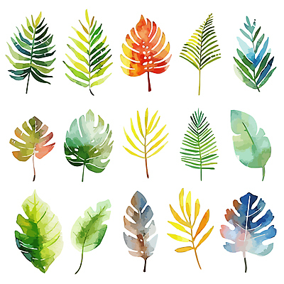 일러스트 나뭇잎 사람없음 세트 혼합 몬스테라 트로피컬아트 국내일러스트 AI파일 식물 잎 그림 파일형식 벡터