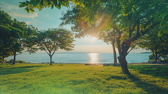 JPG 나무 편집이미지 공원 바다 백그라운드 잔디 사람없음 노을 여름풍경 커버 분위기 앨범 디지털합성 감성 플레이리스트 편집실사 AI포토 AI콘텐츠 자연요소 식물 공공시설 음악 컨셉 풍경 CG 파일형식 여름_계절