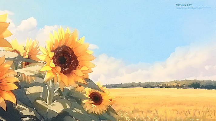 PSD 구름 꽃밭 일러스트 하늘 해바라기 풍경 사람없음 평화 가을 시골 카피스페이스 국내일러스트 자연요소 계절 꽃 컨셉 공백 파일형식
