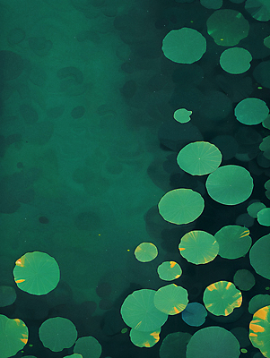 JPG 일러스트 자연 사람없음 초록색 고요 연못 수면 수중식물 연잎 국내일러스트 AI일러스트 AI콘텐츠 식물 컬러 잎 물 생태계 파일형식