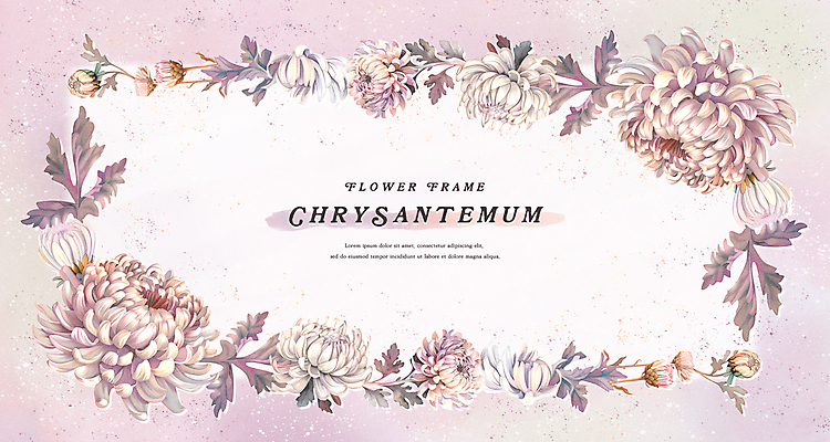 PSD 꽃잎 분홍색 잎 일러스트 수채화 프레임 국화 사람없음 보라색 가을 국내일러스트 식물 계절 꽃 컬러 파일형식