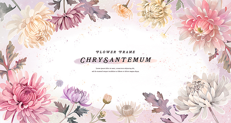 PSD 꽃잎 분홍색 잎 일러스트 수채화 프레임 국화 사람없음 보라색 가을 국내일러스트 식물 계절 꽃 컬러 파일형식