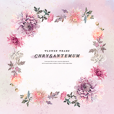 PSD 꽃잎 분홍색 잎 일러스트 수채화 프레임 국화 사람없음 보라색 가을 국내일러스트 식물 계절 꽃 컬러 파일형식