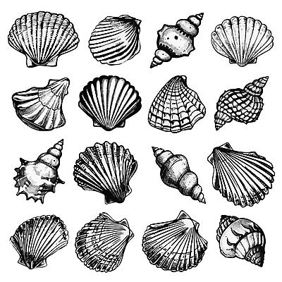 일러스트 조개 어패류 사람없음 세트 다양 조개껍데기 소라 스케치 다슬기 국내일러스트 AI파일 동물 다수 미술 파일형식 벡터