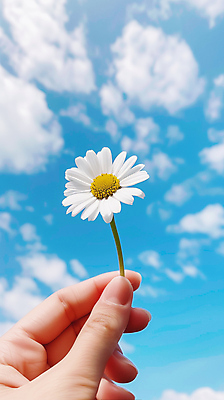 JPG 구름 편집이미지 손 하늘 들기 신체부위 맑음 디지털합성 감성 개망초 편집소스 편집실사 AI인물포토 AI콘텐츠 자연요소 꽃 컨셉 모션 날씨 사람 CG 파일형식 AI포토