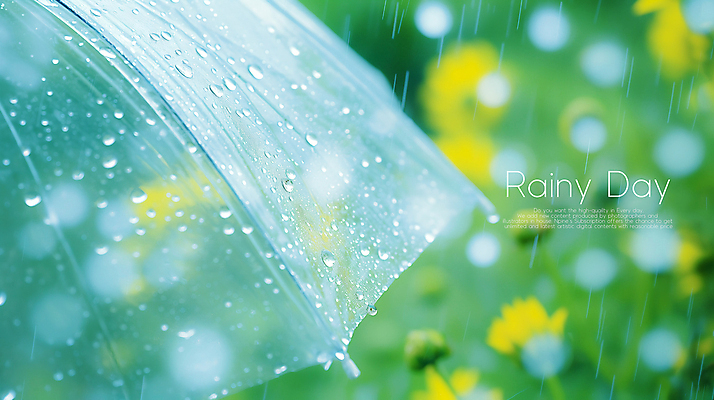 PSD 편집이미지 꽃 우산 사람없음 여름 분위기 빗방울 보케 장마 이미지편집 식물 계절 컨셉 비_날씨 파일형식
