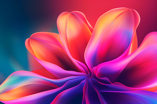 JPG 편집이미지 꽃 예술 분홍색 곡선 추상 사람없음 빛 보라색 화려 조화 색채 디지털아트 환상 편집실사 AI컴퓨터그래픽 AI콘텐츠 식물 선 컬러 컨셉 무늬 CG 파일형식