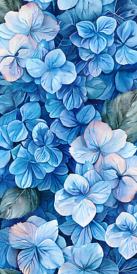 PSD 꽃잎 백그라운드 일러스트 자연 사람없음 여름 파란색 정원 화려 가득함 수국 국내일러스트 계절 꽃 컬러 컨셉 생태계 파일형식