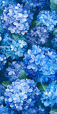 PSD 꽃잎 백그라운드 일러스트 자연 사람없음 여름 파란색 정원 화려 가득함 수국 국내일러스트 계절 꽃 컬러 컨셉 생태계 파일형식