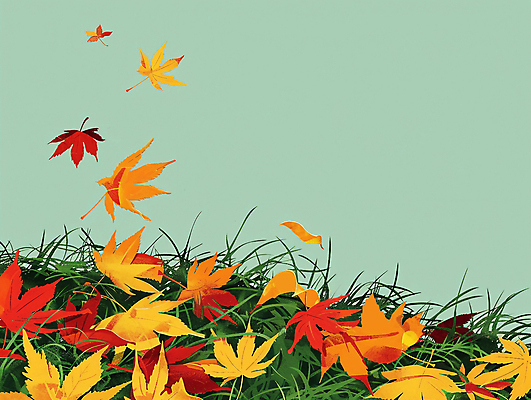 JPG 단풍 낙엽 일러스트 자연 나뭇잎 잔디 사람없음 빨간색 초록색 가을 국내일러스트 AI일러스트 AI콘텐츠 식물 계절 컬러 잎 생태계 파일형식