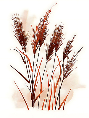 JPG 식물 잎 일러스트 갈대 사람없음 가을 국내일러스트 AI일러스트 AI콘텐츠 계절 파일형식