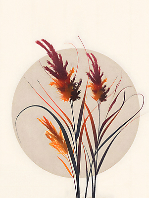 JPG 식물 잎 일러스트 갈대 사람없음 가을 국내일러스트 AI일러스트 AI콘텐츠 계절 파일형식