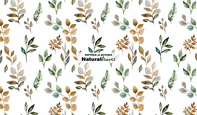 PSD 식물 편집이미지 디자인 백그라운드 패턴 자연 나뭇잎 수채화 사람없음 가을 이미지편집 계절 잎 무늬 생태계 파일형식