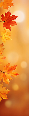 JPG 편집이미지 단풍 자연 사람없음 주황색 가을 보케 카피스페이스 가을배경 편집실사 AI포토 AI콘텐츠 계절 컬러 백그라운드 잎 공백 CG 생태계 파일형식 가을_계절